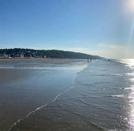 Appartement L'appart 204, Superbe En Résidence