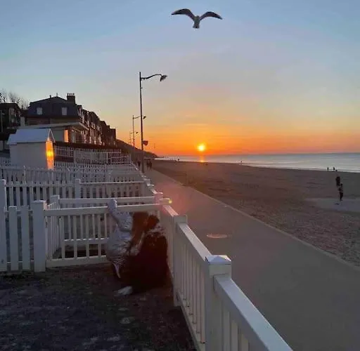L'appart 204, Superbe En Résidence Appartement *