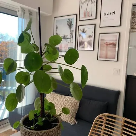 L'appart 204, Superbe En