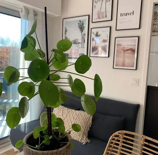 L'appart 204, Superbe En